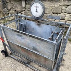 Bateman Sheep Lamb Pig Weighing Scales IAE